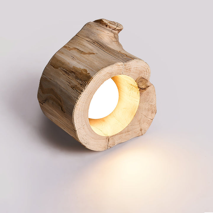 Knothole Ceiling Light